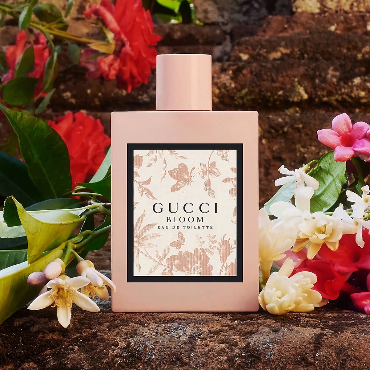 معرفی عطر ادکلن گوچی بلوم صورتی زنانه Gucci Bloom