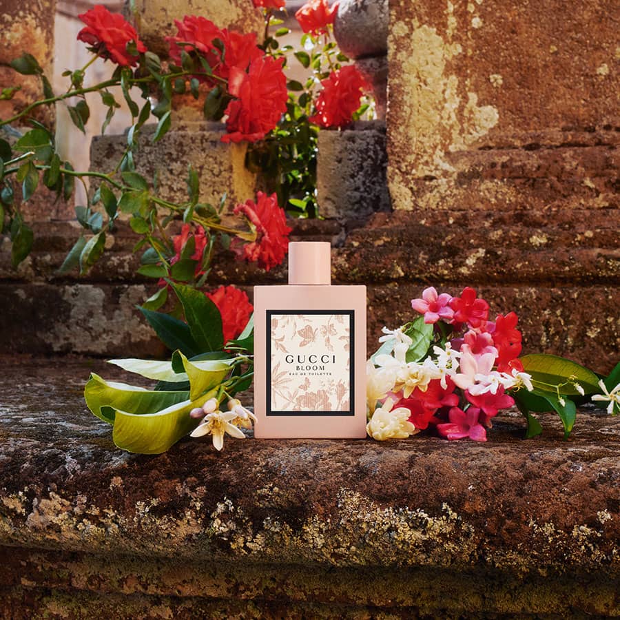 معرفی عطر ادکلن گوچی بلوم صورتی زنانه Gucci Bloom
